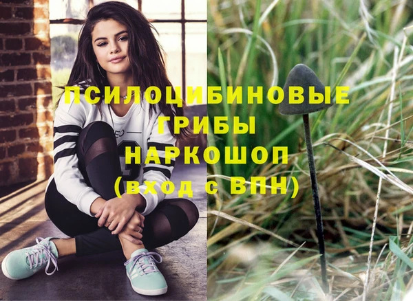 тгк Богородицк