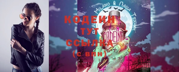 ПСИЛОЦИБИНОВЫЕ ГРИБЫ Богданович