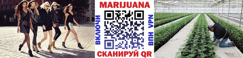 как найти закладки  omg ТОР  shop состав  Завитинск  Марихуана сатива 
